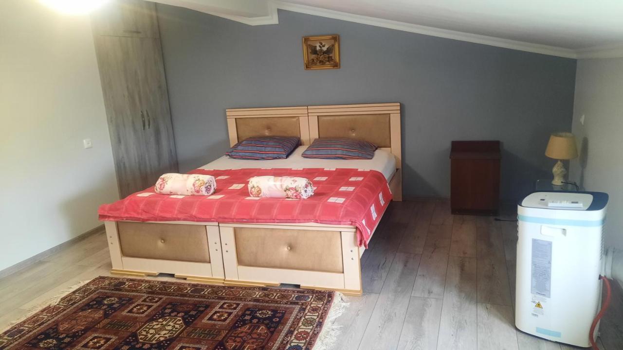 Victoria Guesthouse 库塔伊西 客房 照片
